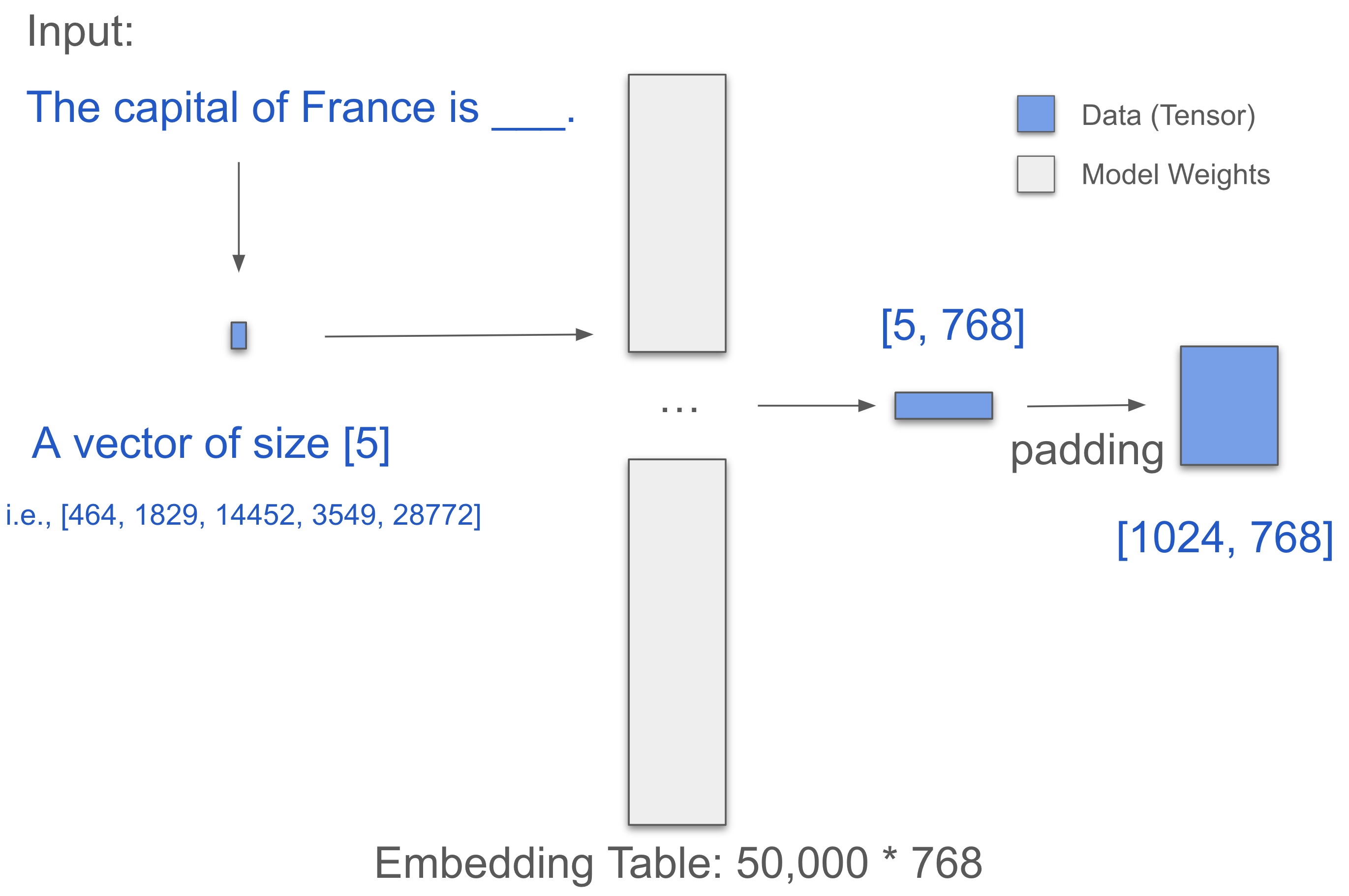 embedding_layer